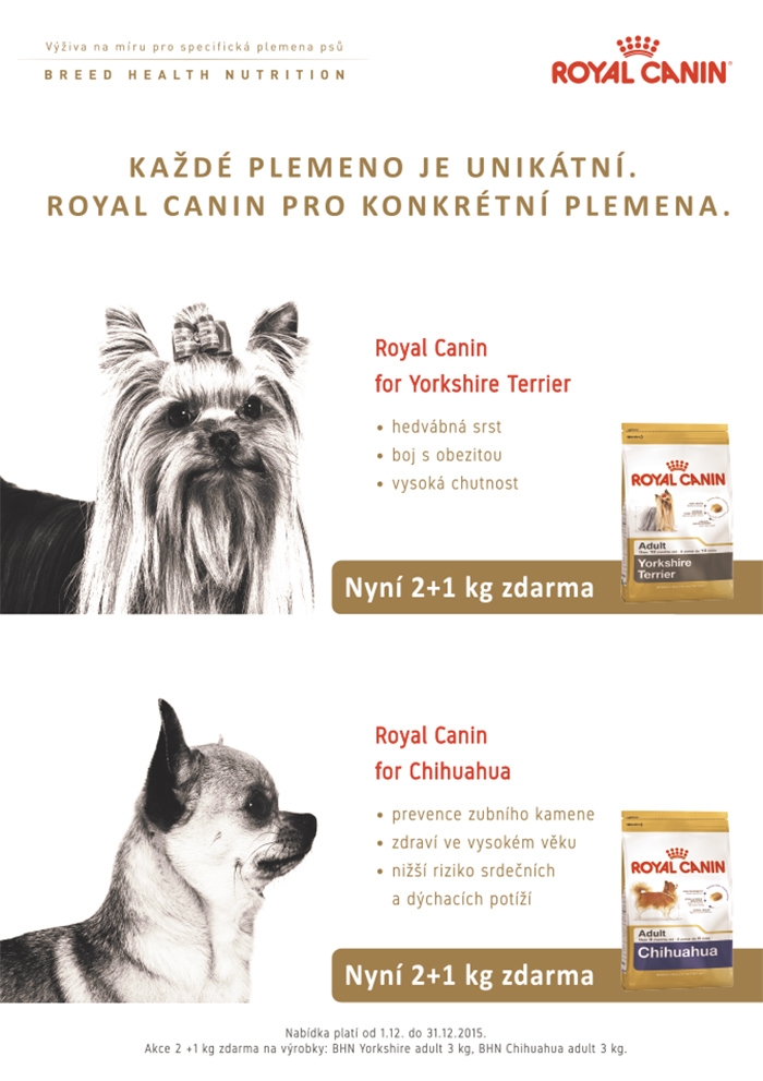 Projekt: Royal Canin