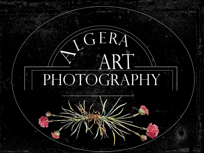 Projekt: Logo pro fotografy