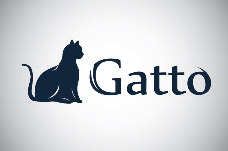 Projekt: Gatto