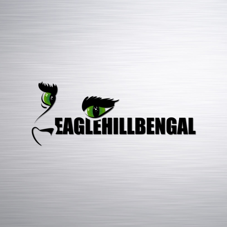 Projekt: Logo Eaglehillbengal