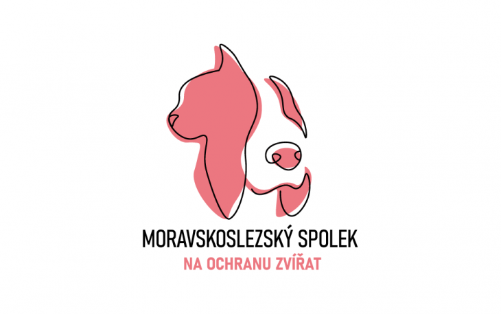 Projekt: Logo pro neziskovou organizaci