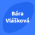 Logo Bára Vlášková