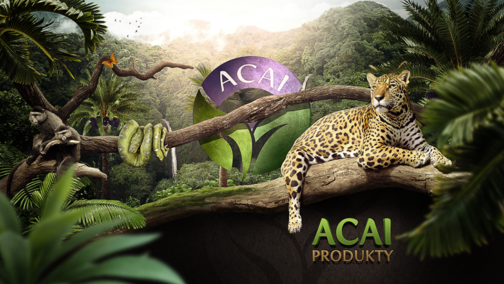 Projekt: Acai Produkty