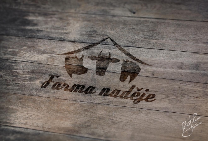 Projekt: Logo Farma naděje