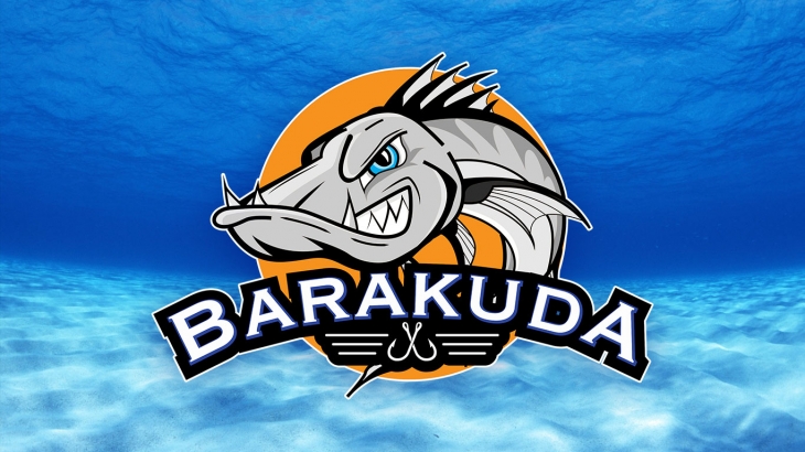 Projekt: Logo Barakuda
