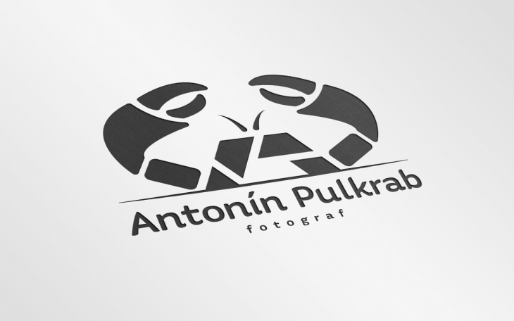 Projekt: Anotnín Pulkrab