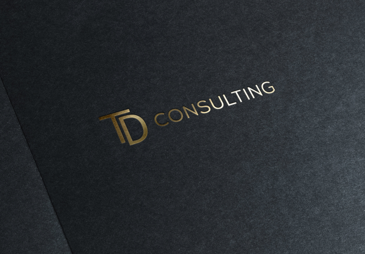 Projekt: TD - Consulting Antonín Páral: Grafika | Grafický 