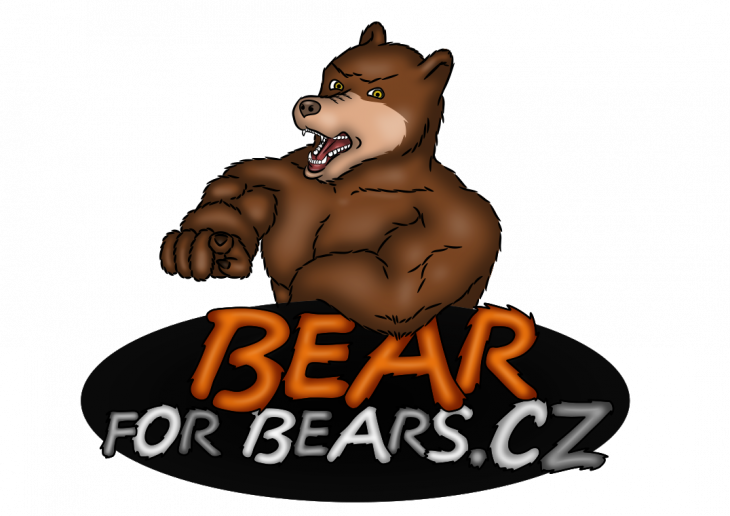 Projekt: Bear for Bears