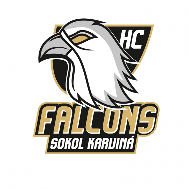 Projekt: FALCONS Karviná