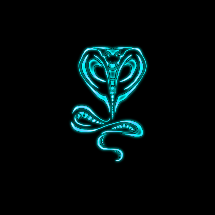 Projekt: Neon Cobra