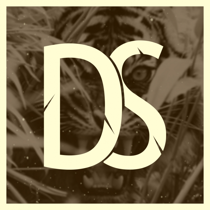 Projekt: DS profile picture