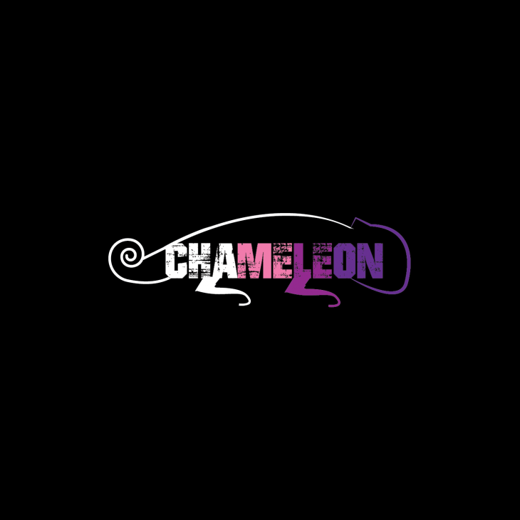 Projekt: Chameleon