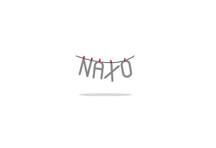 Projekt: NAXO